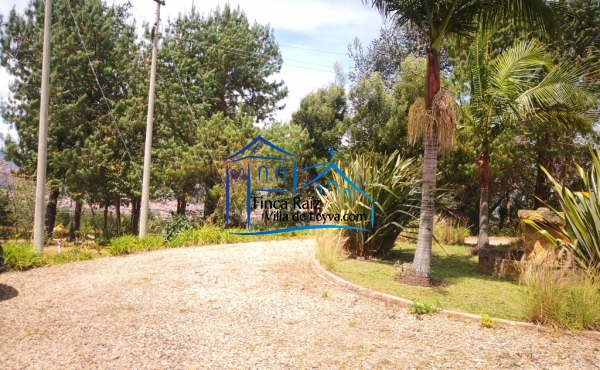 zona verde