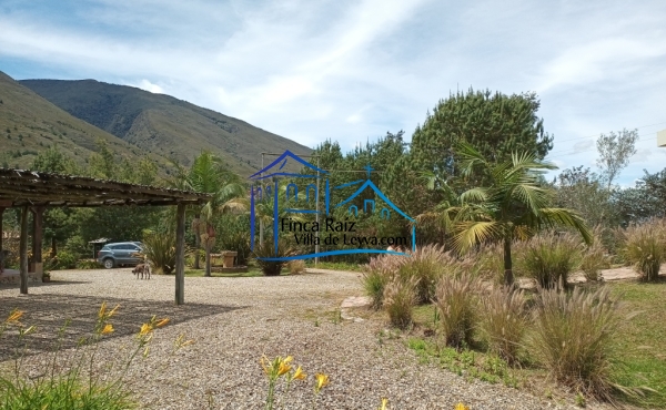zona verde
