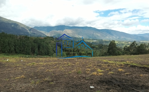 terreno apto para agricultura