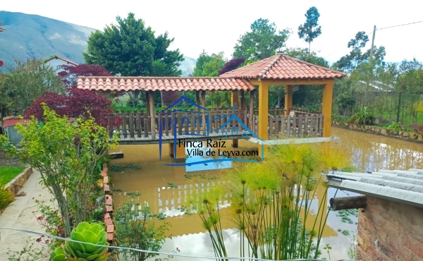 vista de el lago