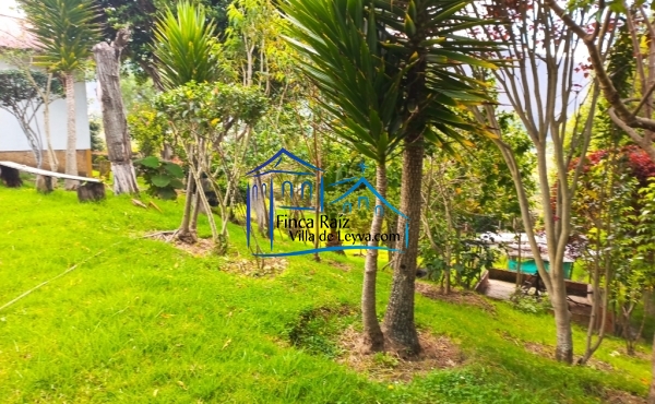 zona verde