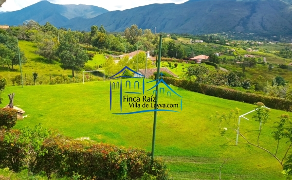 zona verde y cerca viva