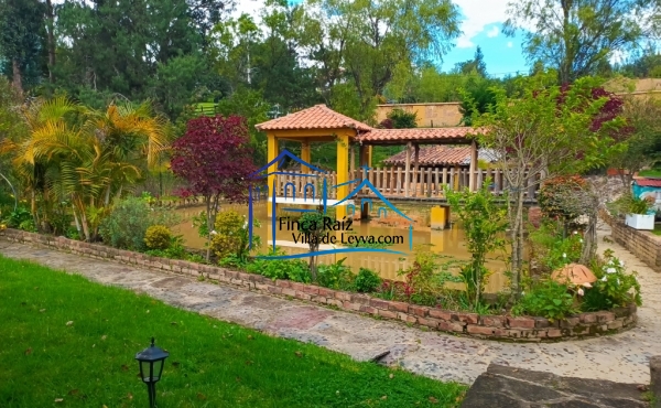 vista lago