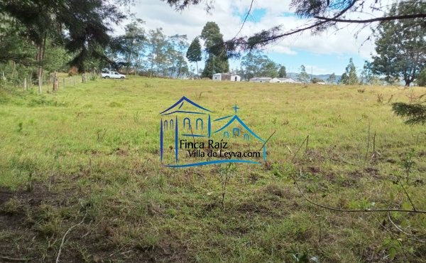 terreno plano