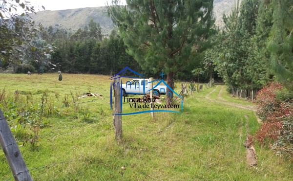 vista lateral terreno
