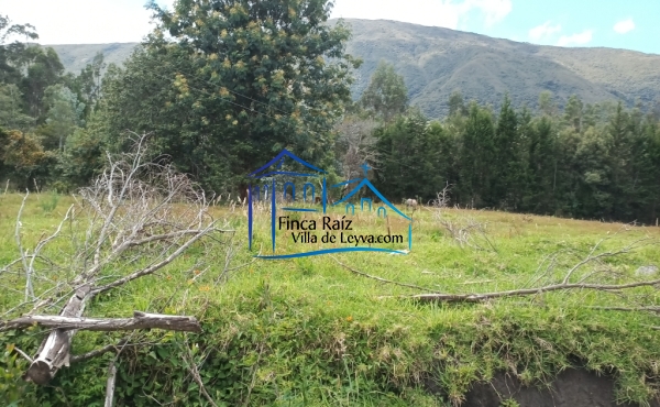 vista al cerro