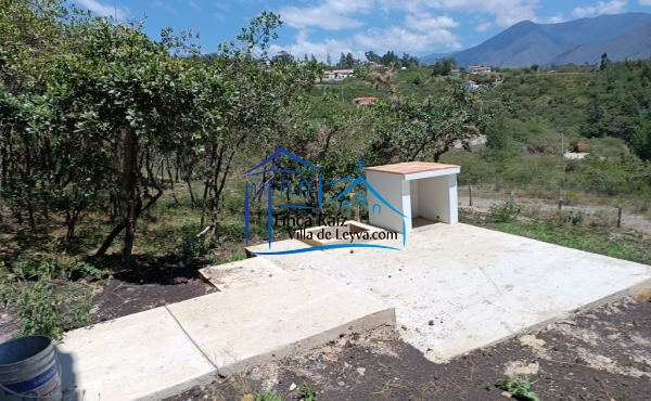 planta de aguas