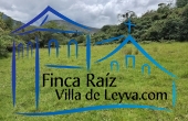 terreno plano
