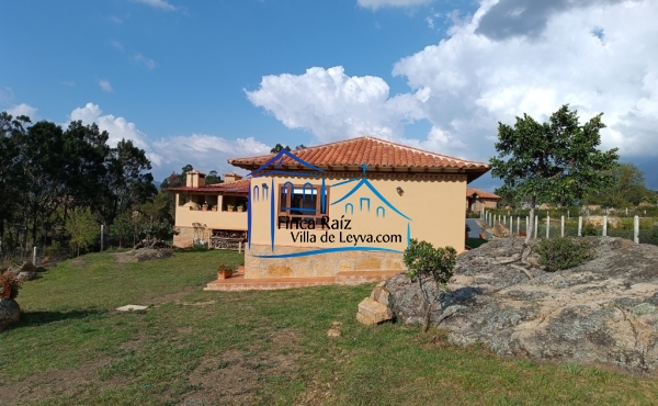 vista desde el fondo del lote
