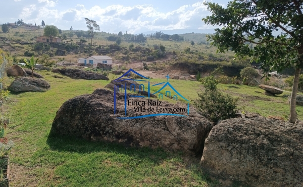 zona verde
