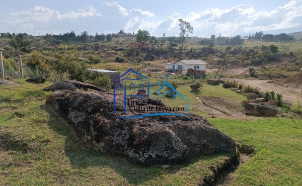 piedras zona verde