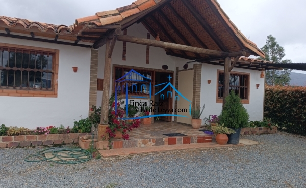 vista lateral