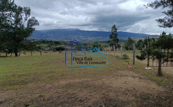 zona verde