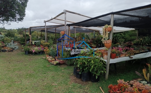 jardines