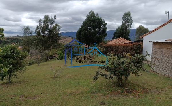 zona verde