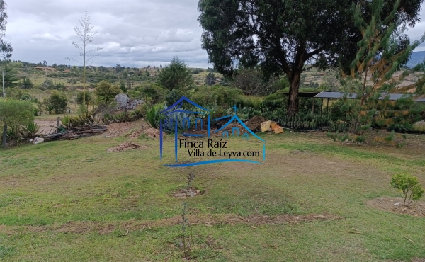 zona verde
