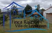 zona verde