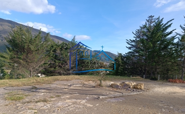 terreno plano