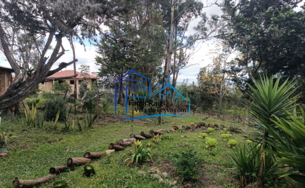zona verde