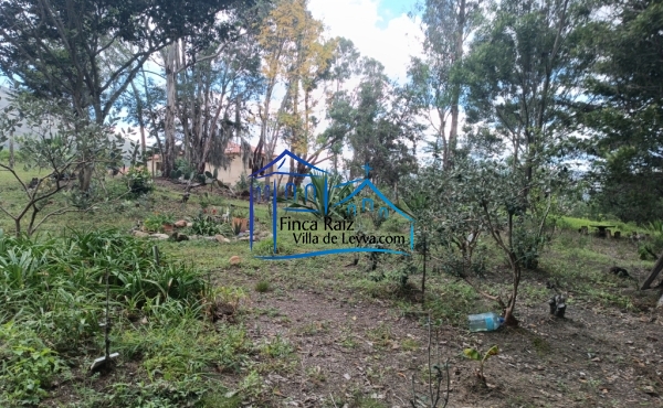 zona verde