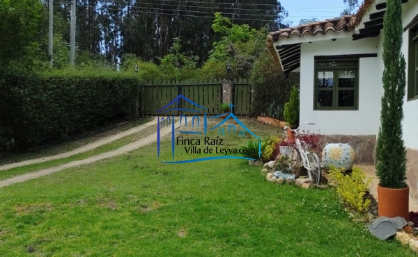 vista desde la zona verde