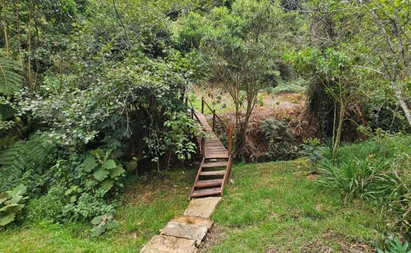 escalinatas y puente