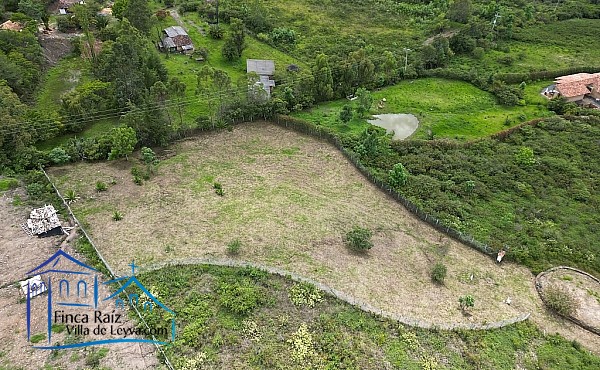 vista general del lote