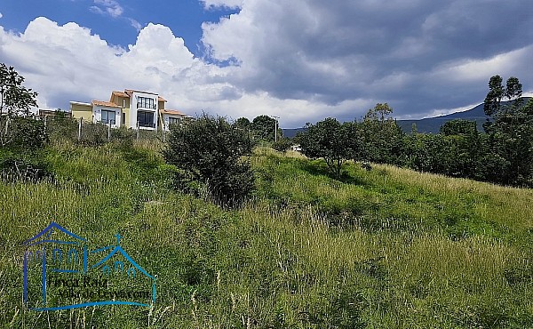 leve inclinación y vegetación