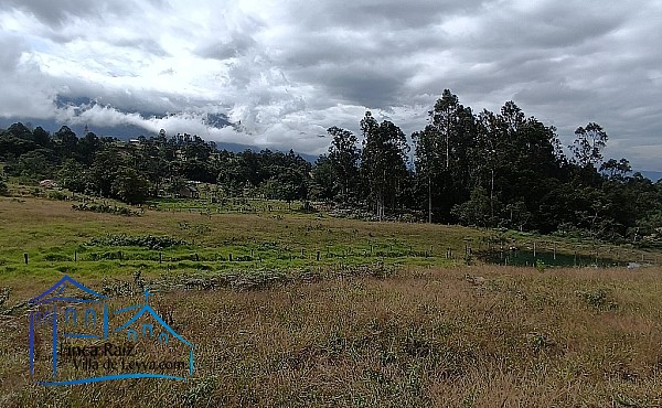 terreno