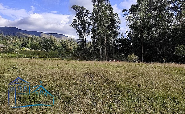 terreno
