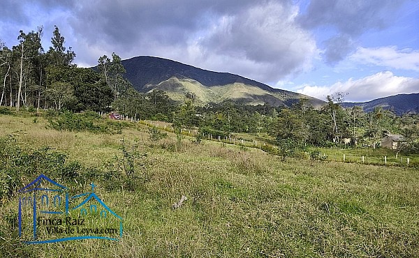 vista a la montaña