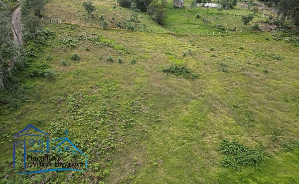 terreno