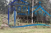 vista bosque