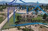 lote